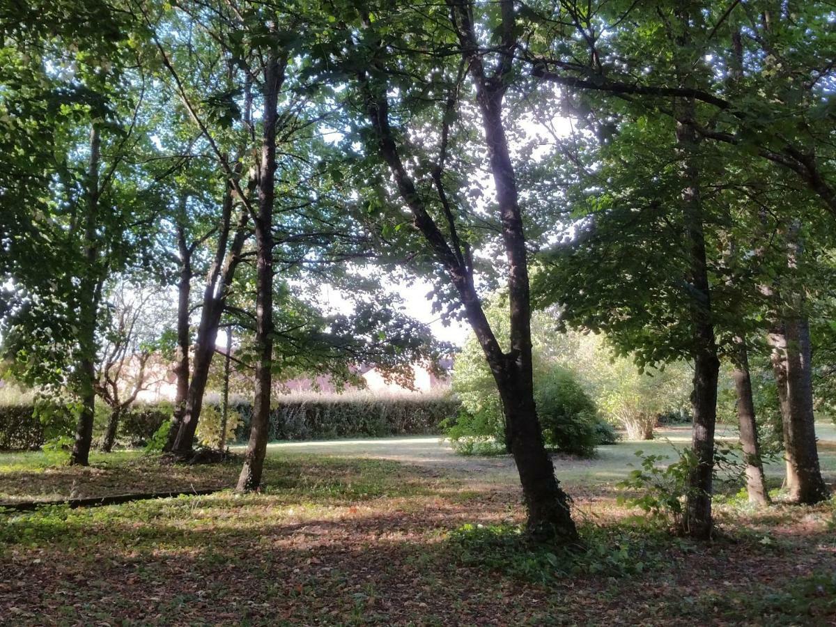فندق Au Cocon De Sologne Soings-en-Sologne المظهر الخارجي الصورة